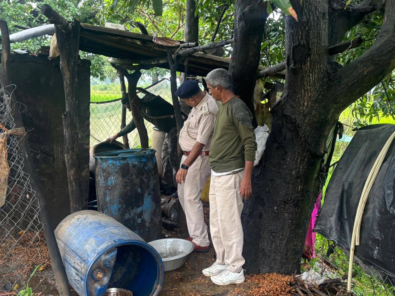 चौपारण में अवैध शराब कारोबार पर बड़ी कार्रवाई, 2,500 किलो जावा महुआ नष्ट
