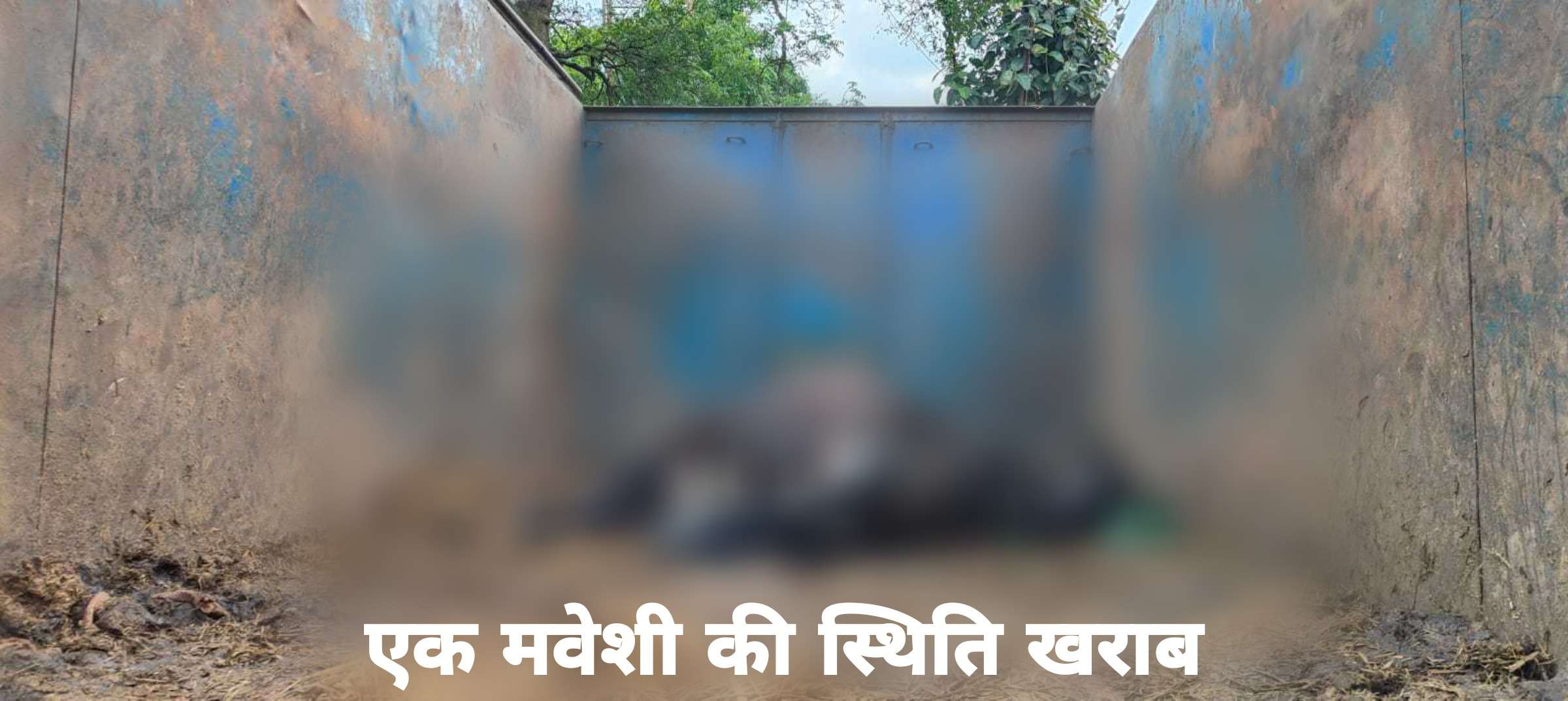 गिरिडीह : तिसरी में मवेशी से लदे तीन पिकअप वैन को ग्रामीणों द्वारा पुलिस ने किया जब्त, चालक व मालिक फरार