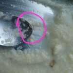 IMG COM 20260123 0126071