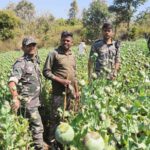 IMG COM 20260226 2338192